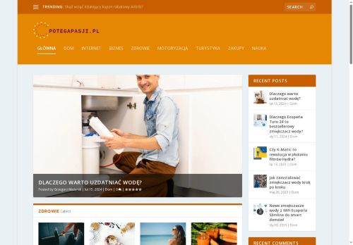 potegapasji.pl