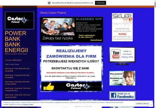 powerbankenergy.wordpress.com