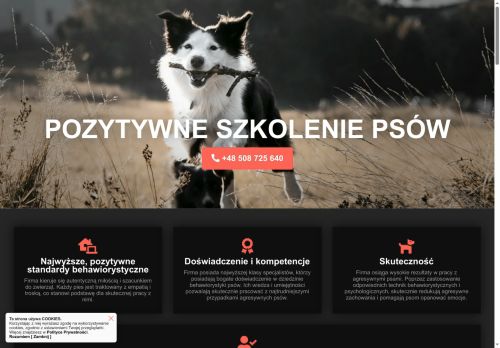 pozytywneszkolenie.pl