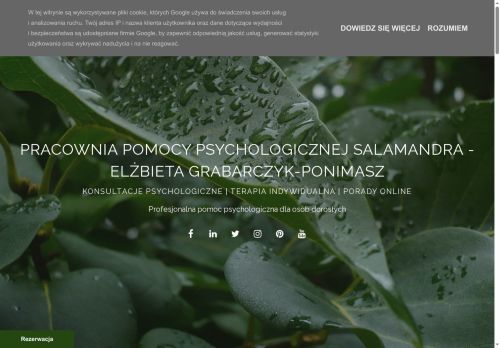 ppp-salamandra.blogspot.com