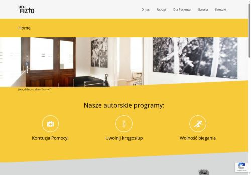 pro-fizjo.pl