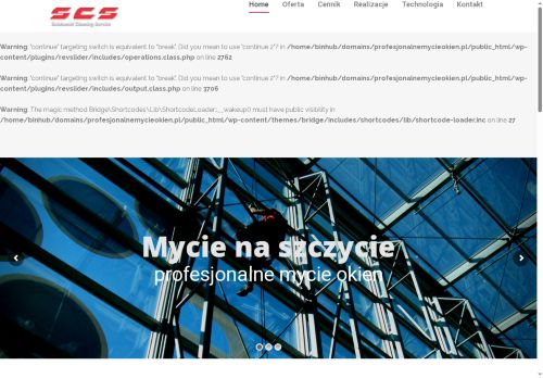 profesjonalnemycieokien.pl