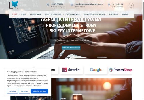 profesjonalnestrony.com