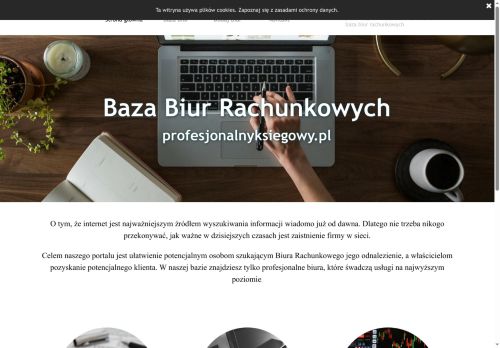 profesjonalny-ksiegowy.pl