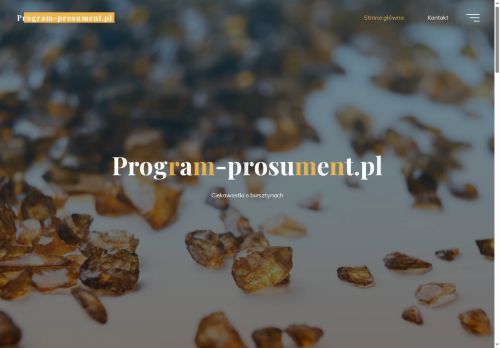 program-prosument.pl