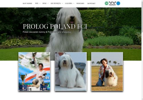 prologpoland.pl