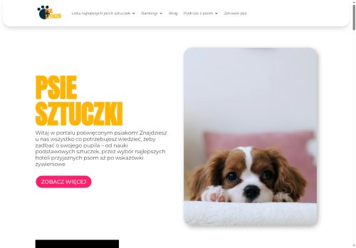 psiesztuczki.pl