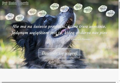 psihotelmorris.pl