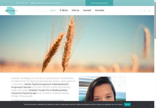 psychoterapeutapoznan.com