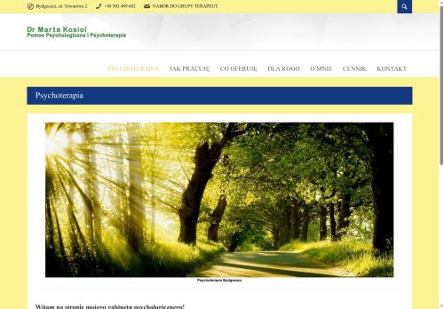 psychoterapia.top