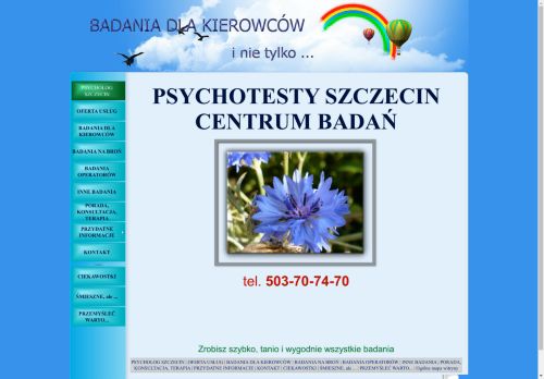 psychotesty-szczecin.pl
