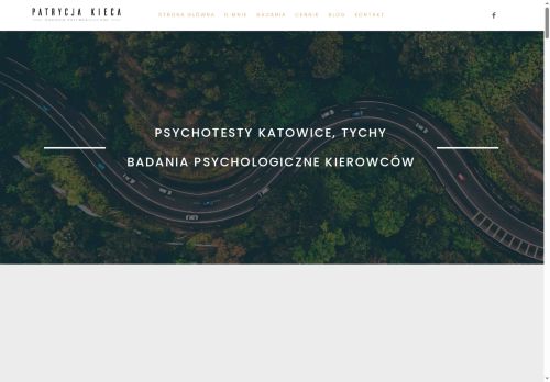 psychotesty.slask.pl