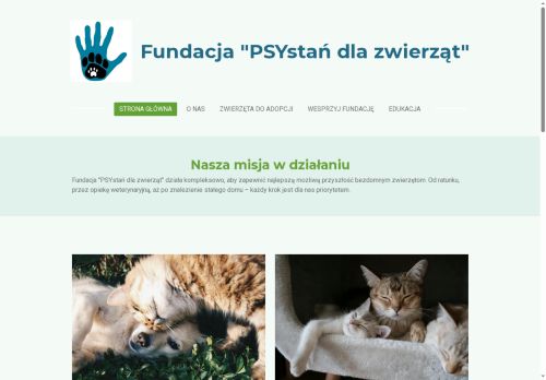 psystandlazwierzat.pl