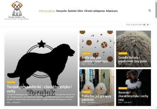 pupilowy.pl