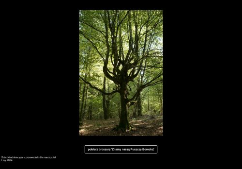 puszczaborecka.pl