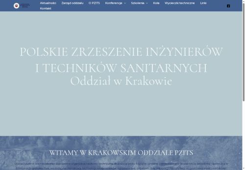pzits.krakow.pl
