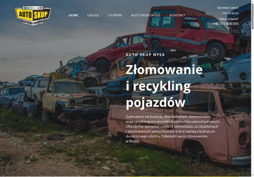 recykling.nysa.pl
