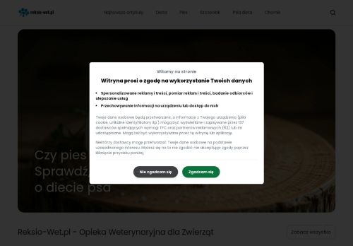 reksio-wet.pl