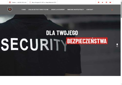 roninsecurity.com.pl