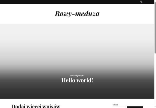 rowy-meduza.pl