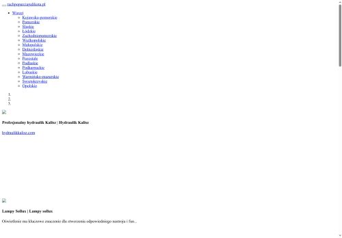 ruchpoparciapalikota.pl