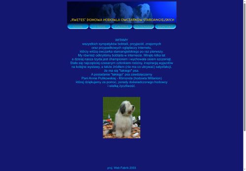 rwetes.focus-studio.pl