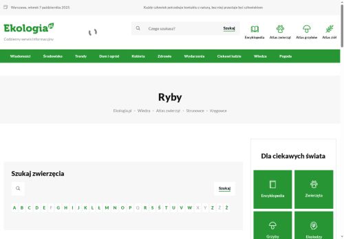 ryby.pl