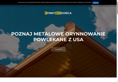 rynnybezkonca.pl