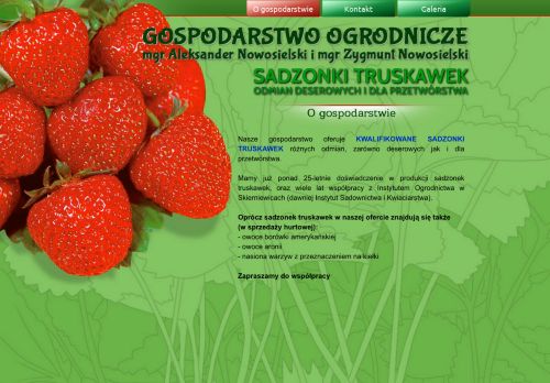 sadzonkitruskawek.info.pl