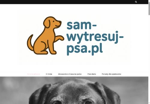 sam-wytresuj-psa.pl