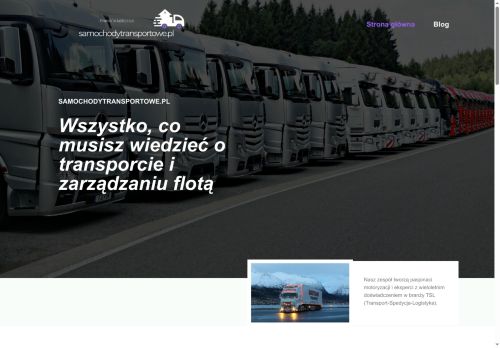 samochodytransportowe.pl