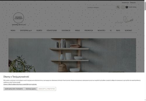 scandiconcept.pl
