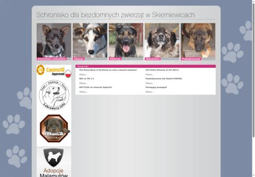 schronisko-skierniewice.pl