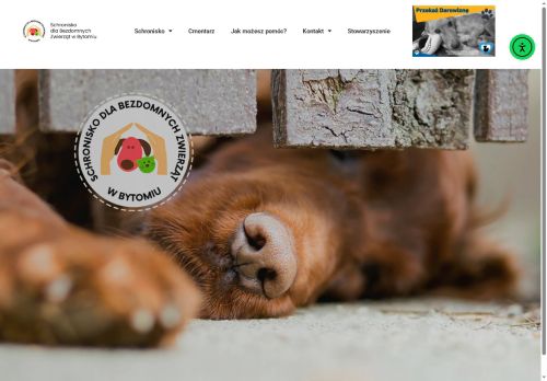 schroniskobytom.pl