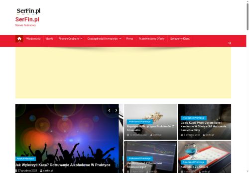 serfin.pl