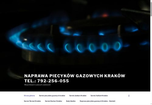 serwis-gaz.pl