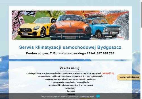 serwis-klimatyzacji-samochodowej.bydgoszcz.pl