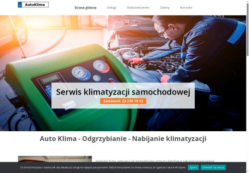 serwis-klimatyzacji-samochodowej.pl