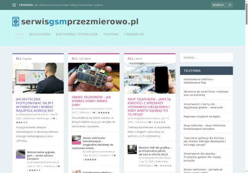 serwisgsmprzezmierowo.pl