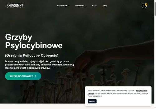 shroomsy.pl