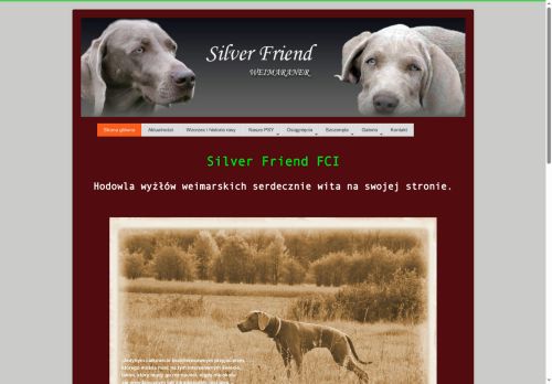 silverfriend.pl