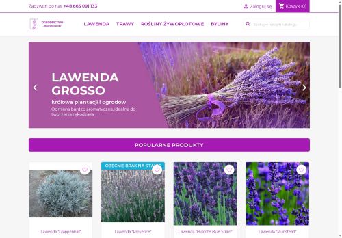 sklep.lawenda-sadzonki.pl