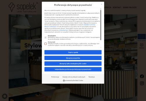 sopelek.com.pl