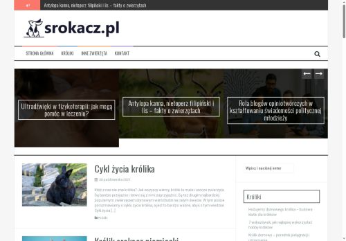 srokacz.pl