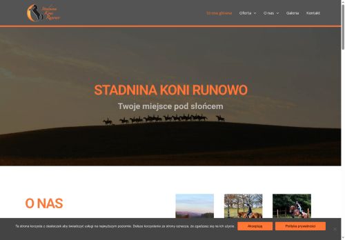 stadninarunowo.pl