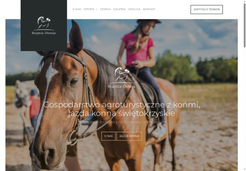 stajniaostoja.pl