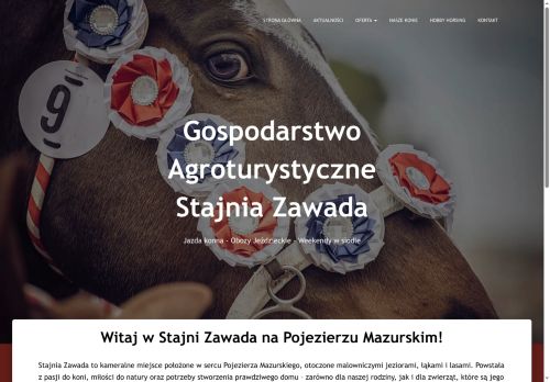 stajniazawada.pl