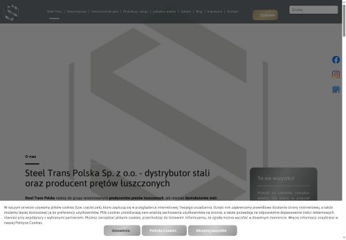 steeltrans.com.pl