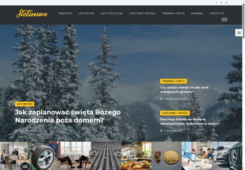 stetinum.pl