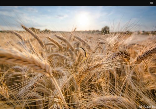 stomatologia.zgorzelec.info